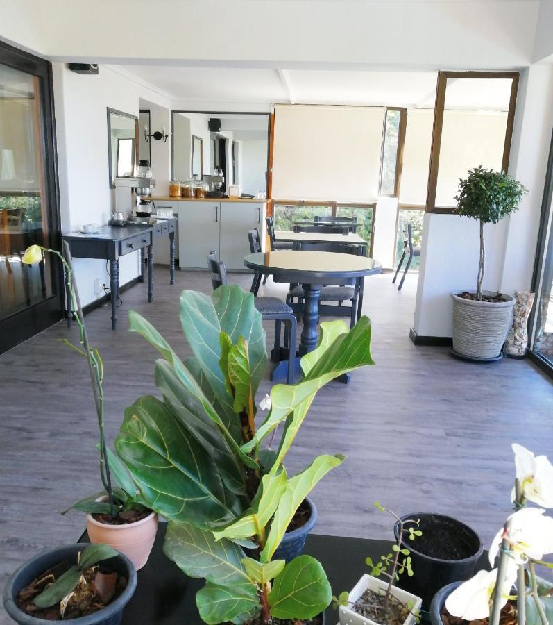 Swallows Nest Plett Plettenberg Bay Exterior photo